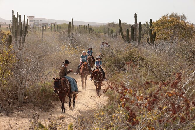 Horseback Riding Tour in Cabo San Lucas - The Sum Up