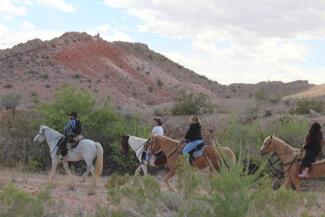 Horseback Riding Tour - The Sum Up