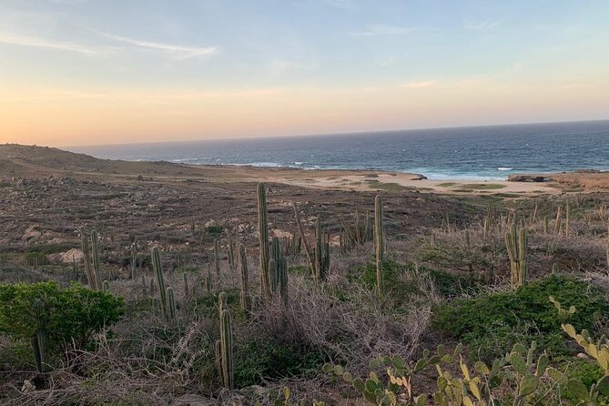 Horseback Riding Wariruri Beach Tour in Aruba - Tips for a Memorable Experience