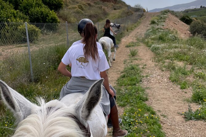 Horseback Riding With Certified Guide - The Sum Up