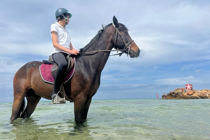 Horseback Riding With Private Transfer - Directions