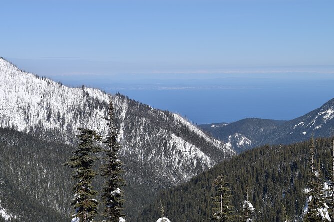 Hurricane Ridge Guided Snowshoe Tour in Olympic National Park - Tour Pricing