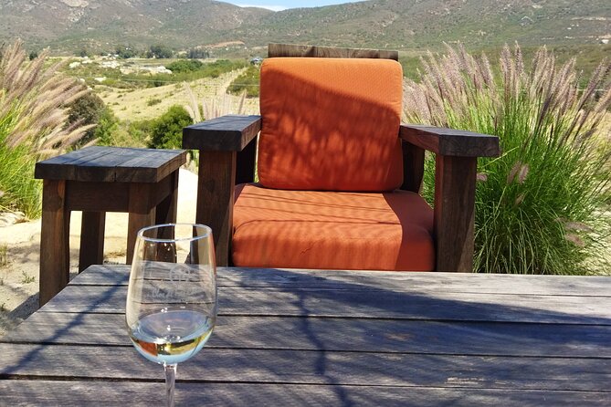 I Want More Wine, Guadalupe Valley Tours. - Common Questions