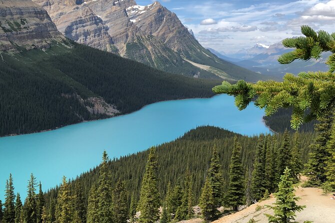Icefields Pkwy: Lake Louise Bow Lake Peyto Lake Glacier - PRIVATE DAY TOUR - The Sum Up