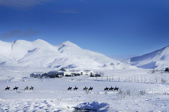 Icelandic Horseback Riding Including Pick up From Reykjavik - Customer Reviews