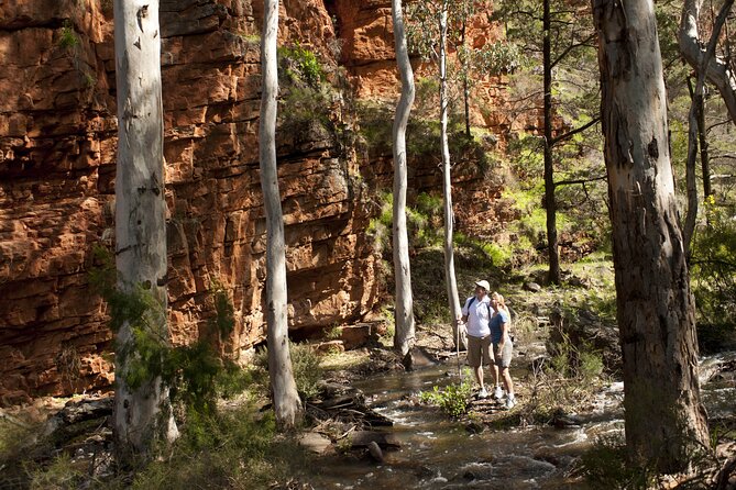 Ikara-Flinders Ranges Hiking Tour - 5 Days - Day 4: Wildlife Encounters and Scenic Views
