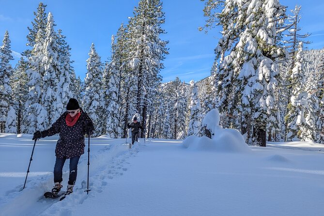 Introductory Snowshoe Shared Experience - The Sum Up