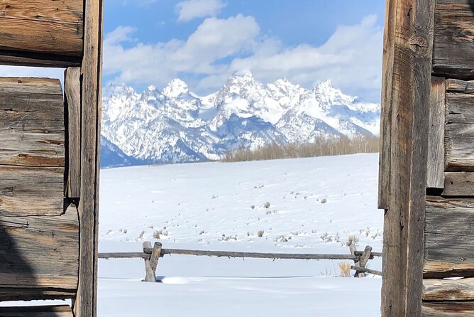 Jackson Hole & Grand Teton Park - Full-Day Wildlife Tour - Common Questions