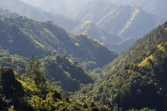 Jamaica Blue Mountain Guided Nature Tour - Good To Know