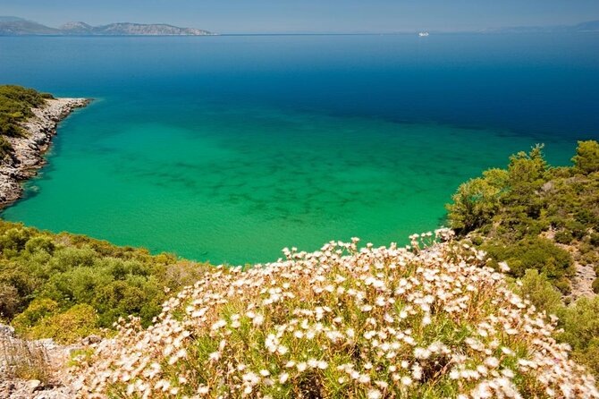 Jeep Safari To Zeus Cave And Dilek National Park With Lunch - Good To Know