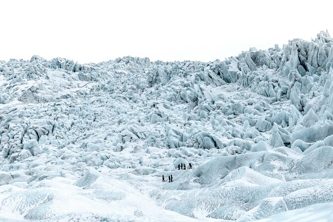 Jökulsárlón Glacier Lagoon 2 Day Tour & Optional Glacier Hike - Common Questions