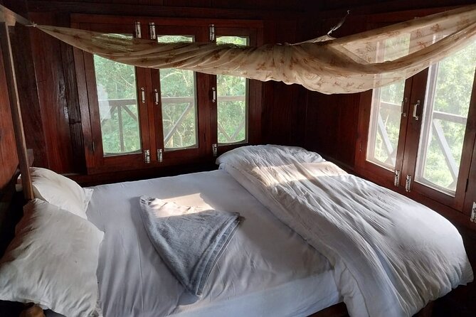 Jungle Towernight Stay: 4-Day Tour in Chitwan National Park - Activities and Attractions in the Park
