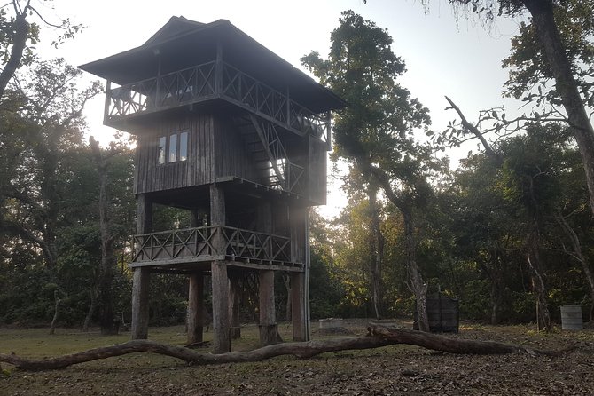 Jungle Towernight Stay In Chitwan National Park ,nepal-2 Nights 3 Days Package - Transportation Service and Representatives
