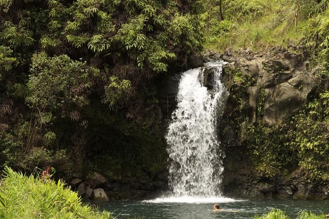 Kahului Private Half-Day Waterfall and Rain Forest Tour  - Maui - Good To Know