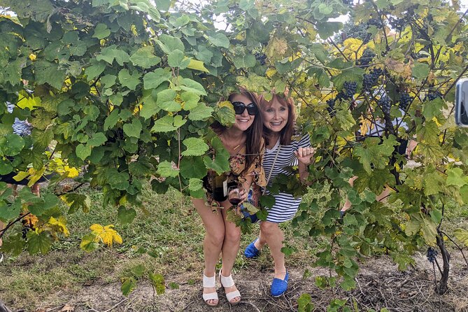 Kansas City Brewery, Winery, and Distillery Tour - The Sum Up