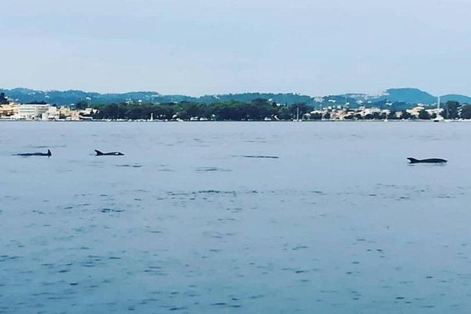 Kassiopi Private Daily Sailing Yacht Cruise - Common Questions