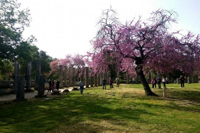 Katakolon Shore Excursion: Premium Skip-the-Lines Olympia & Free Olive Oil Tasting Tour - Explore Olympias Ruins