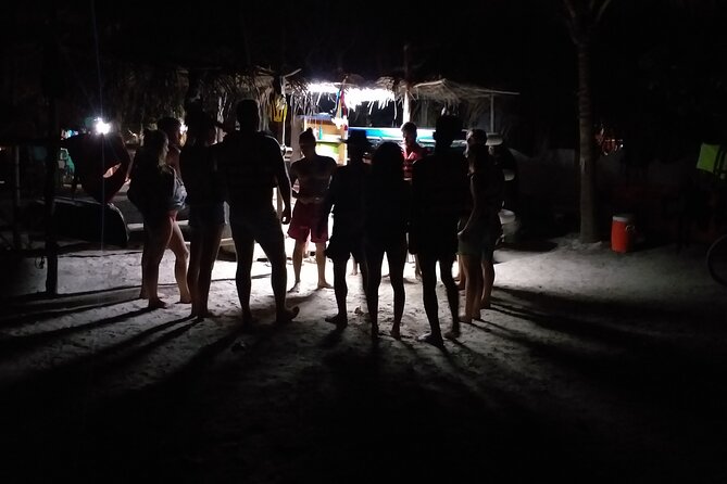 Kayak Experience and Swiming With the Bioluminescence in Holbox - Experience the Natural Phenomenon