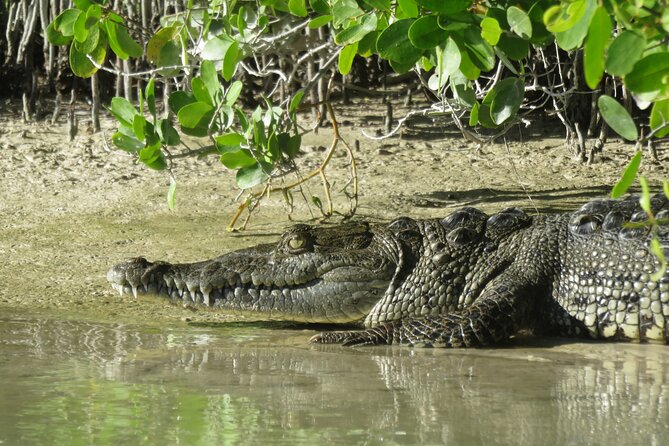 Kayak Experience in the Mangroves of Holbox - Additional Information