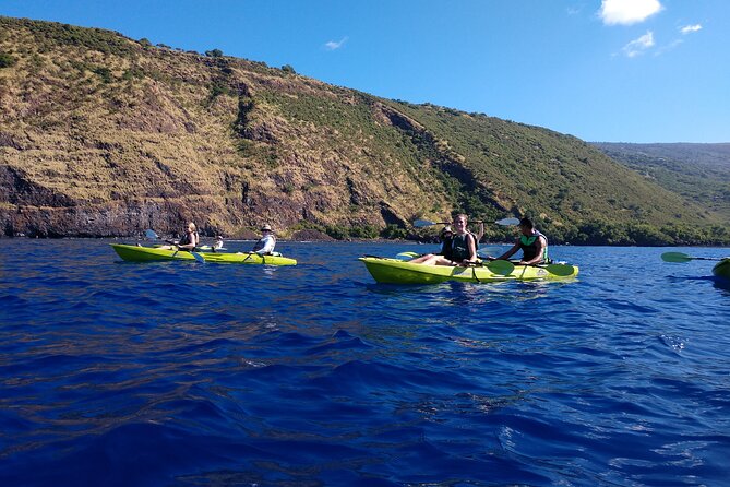 Kayak Snorkel Capt. Cook Monu. See Dolphins in Kealakekua Bay, Big Island (5 Hr) - Additional Information and Tips