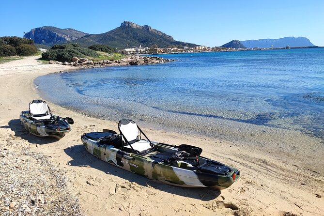 Kayak Tour in Golfo Aranci With Aperitif and Dolphin Watching - Aperitif and Refreshments