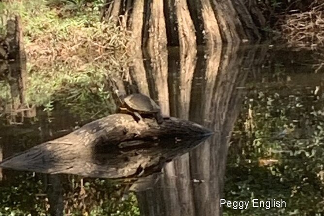 Kayak Tour Of The Honey Island Swamp and Backwaters - Meeting Point and Start Time
