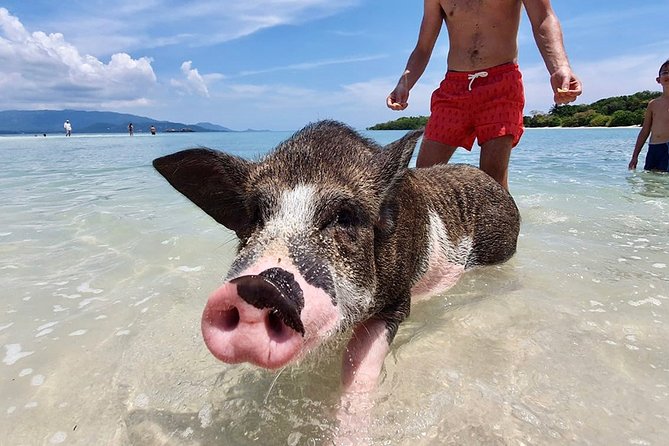 Kayaking and Snorkeling Trip at Koh Tan & Madsum From Koh Samui - Island Exploration