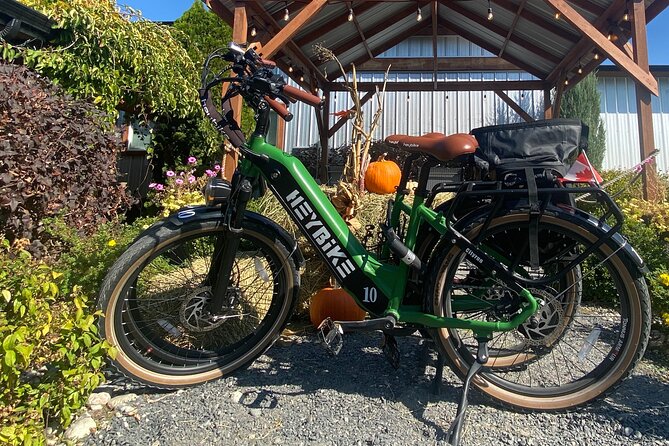 Kelowna E-Bike Bee Tour With Tastings, Lunch & Audio Guide - Booking and Cancellation Policies