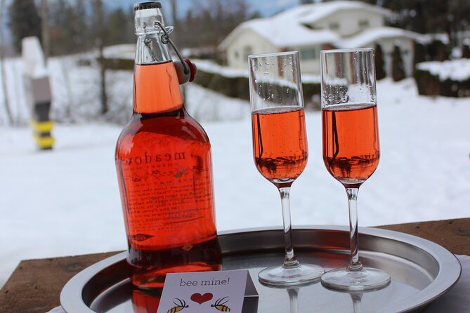 Kelowna Snow E-Biking Adventure With Lunch, Wine Tasting & Smores - Common Questions