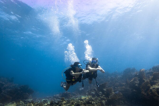 Key Largo Half-Day Snorkeling Tour - The Sum Up