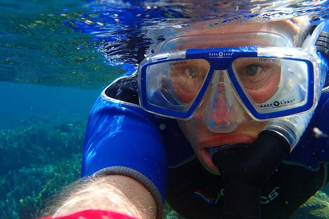 Key West: Dolphin Watching Cruise & Snorkeling Unlimited Beer & Soda - The Sum Up