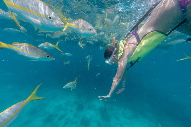 Key West Schooner Backcountry Eco-Tour: Sail, Snorkel & Kayak - Value for Money