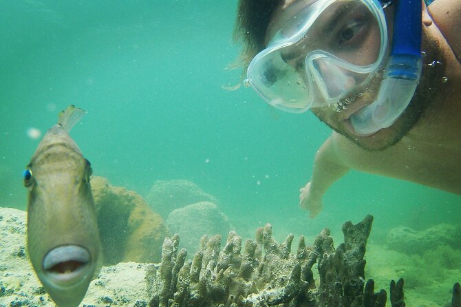Key West Small Group Dolphin Viewing & Snorkeling Tour - Tour Directions