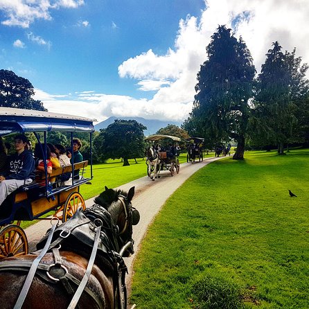 Killarney Jaunting Car Tour With Craft Brewery Beer & Pizza - Booking and Contact Information