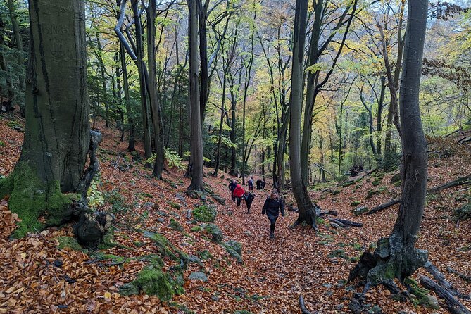 King Arthurs Wye Valley River And Forest Hike From Cardiff - Tips for a Memorable and Safe Hiking Experience