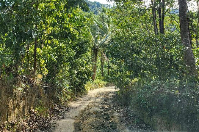 Koh Samui 4WD Jeep Jungle Tour - The Sum Up