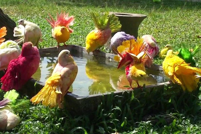 Koh Samui Paradise Park Farm Admission Ticket With Return Transfer - Common Questions