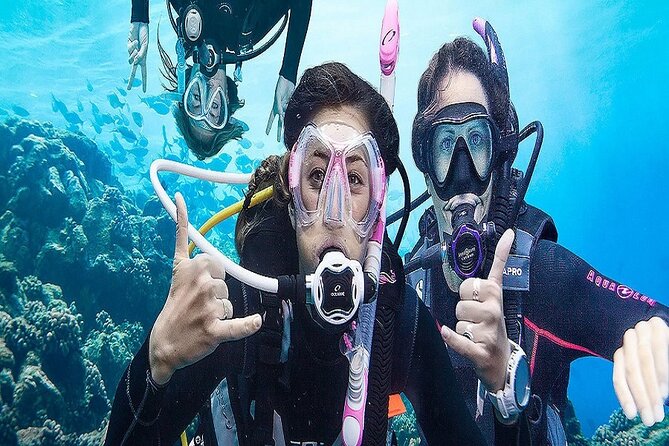 Kusadasi Beginners Discover Scuba Dive W/Transfers & Lunch - Weather and Minimum Traveler Requirements