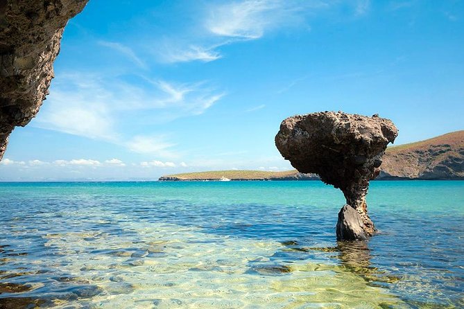 La Paz and Todos Santos City and Beaches Tour - The Sum Up