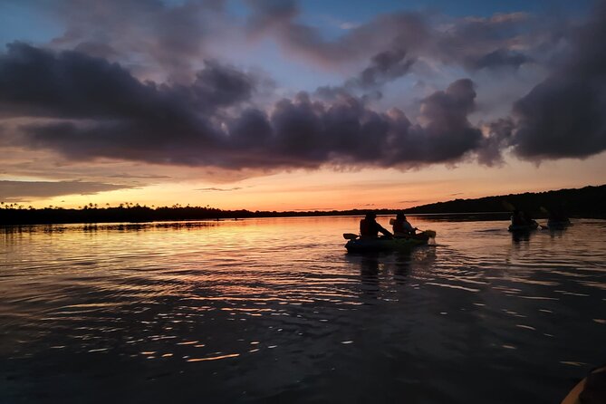 Laguna Grande Small-Group Bioluminescence Kayak Tour  - Puerto Rico - Common Questions