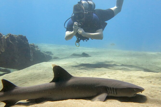 Lahaina Small-group Scuba Review Dive  - Maui - Safety Guidelines and Equipment Requirements