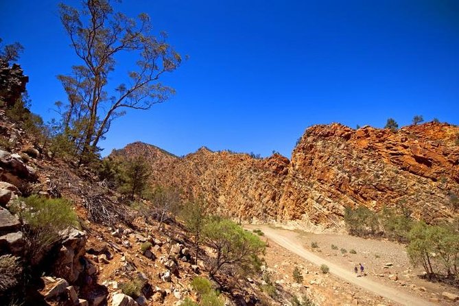 Lake Eyre and Flinders Ranges 4 Day Small Group 4WD Eco Safari - Brachina Gorge Geological Trail