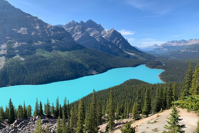 Lake Louise and the Icefields Parkway - Full-Day Tour - The Sum Up