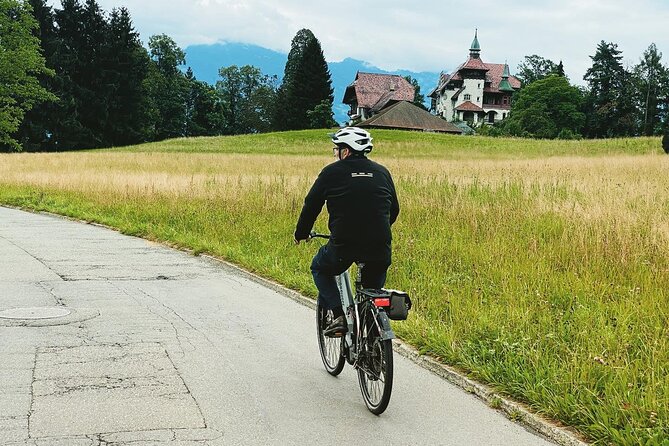 Lake Lucerne Peninsula E-Bike Tour - Common Questions