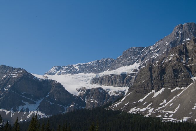Lake View Full Day Tour-Moraine Lake, Lake Louise, Peyto Lake... - Lake Louise
