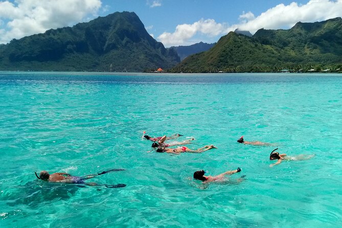 Land and Sea Cultural Tour to Discover Traditions, Heritage and the Lagoon - Pricing and Terms