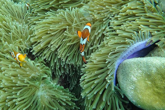 Lanta 4 Islands Emerald Cave Snorkeling Tour by Speedboat - Safety and Equipment