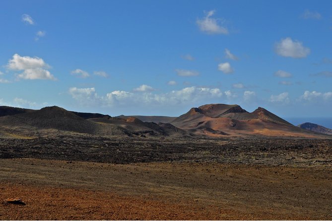 Lanzarote Bus Tour With Camel Ride and Wine Tasting - The Sum Up
