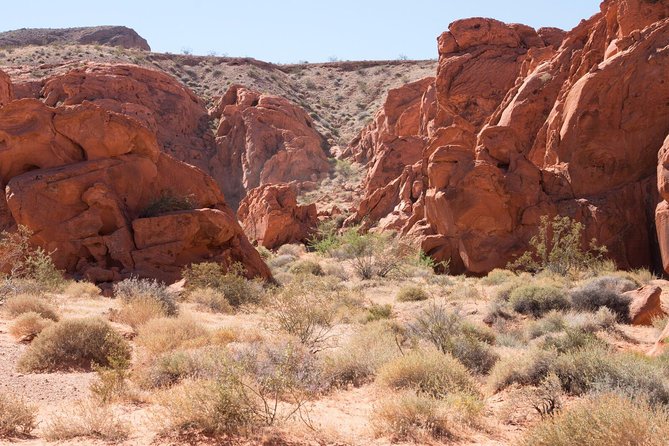 Las Vegas Valley of Fire ATV Quad 3 Hour Tour MOST Scenic! - Common Questions