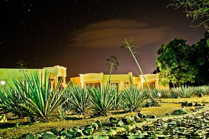 Legends and Night Tour to Tequila From Guadalajara - Nightlife Activities in Tequila